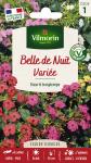 Fleurs - Belle de Nuit Variée - PACKAGING_RECTO